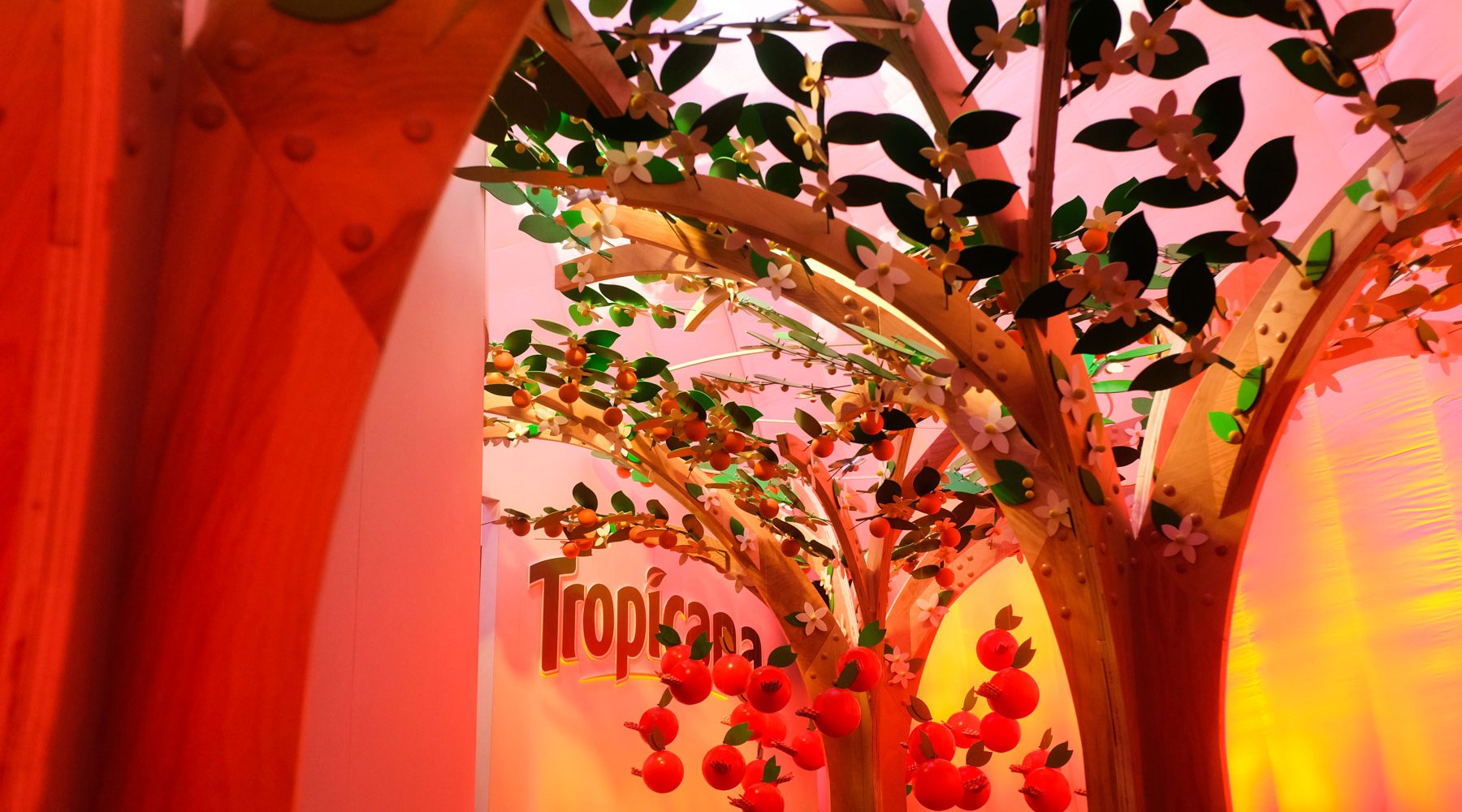 Make Luft Tropicana 13Web