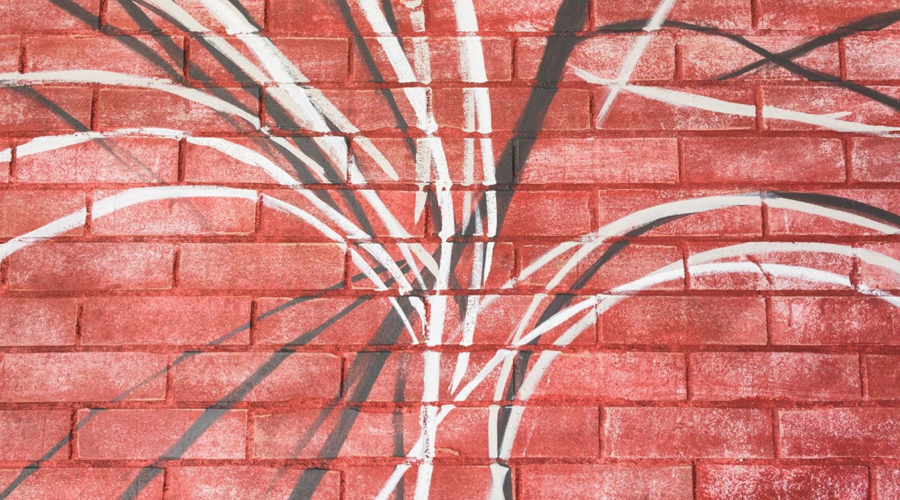 Pbd Shoot1Shoot2 403Web