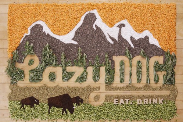 Lazy Dog Overhead Logo